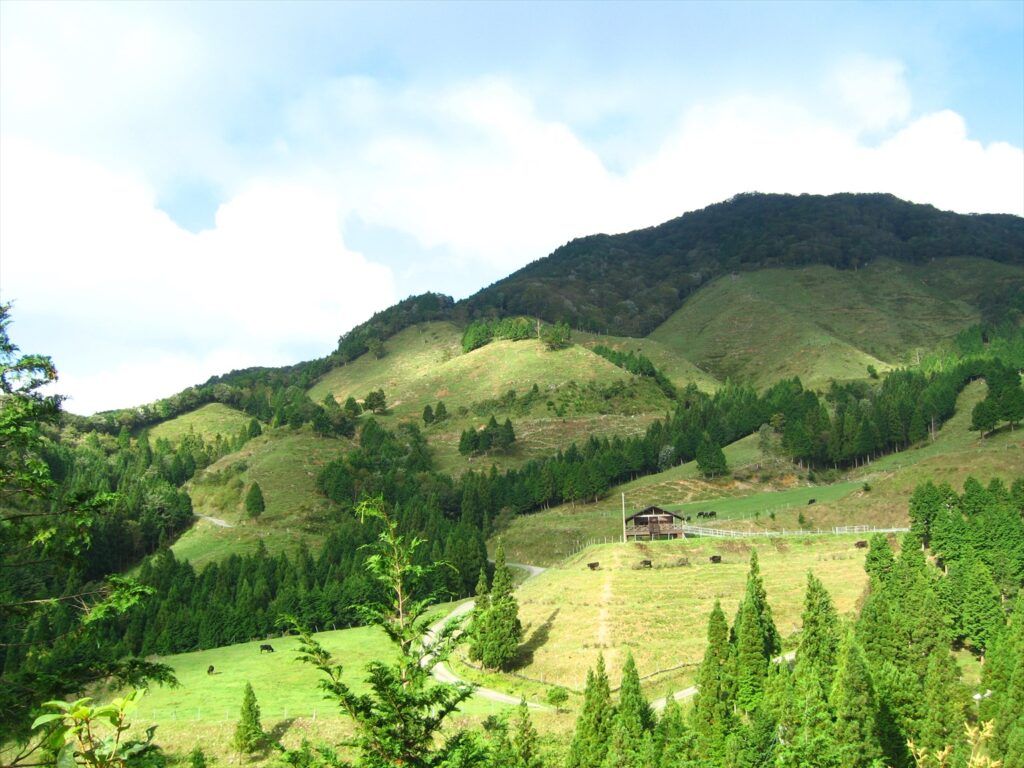 画像を等倍で表示します