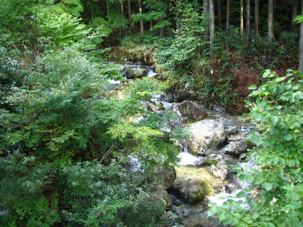 画像を等倍で表示します