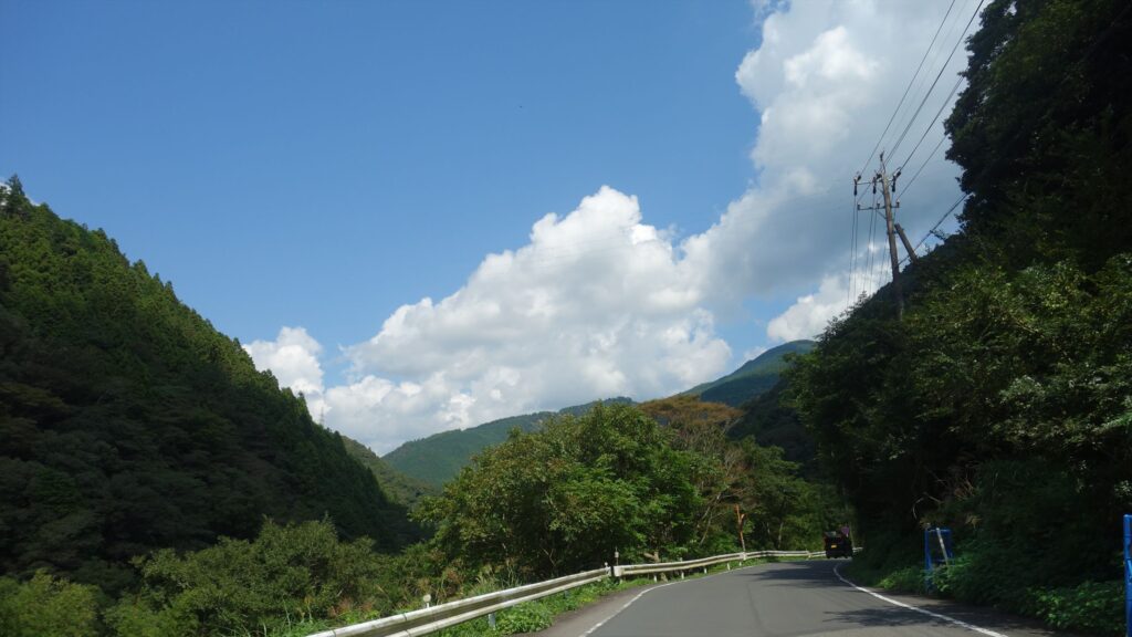 画像を等倍で表示します