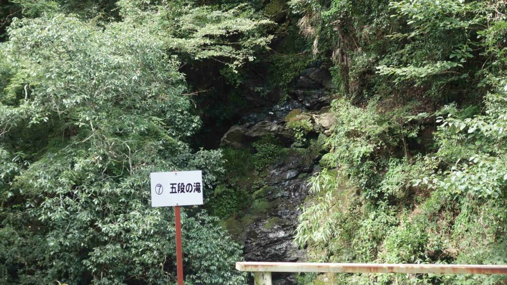 画像を等倍で表示します