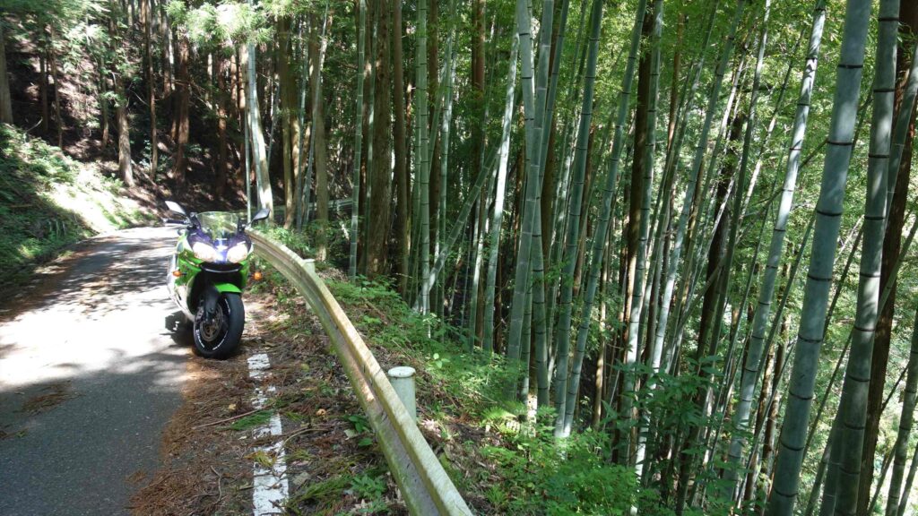 画像を等倍で表示します