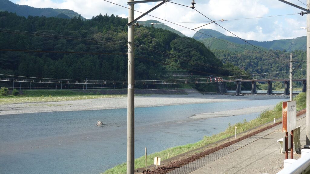 画像を等倍で表示します