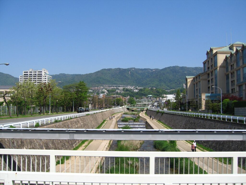 画像を等倍で表示します