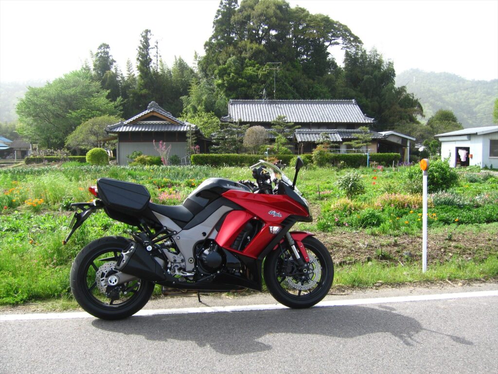 画像を等倍で表示します