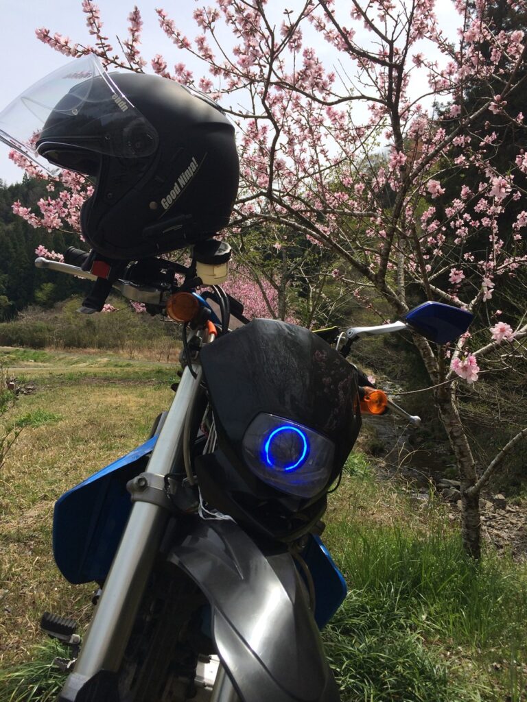 画像を等倍で表示します