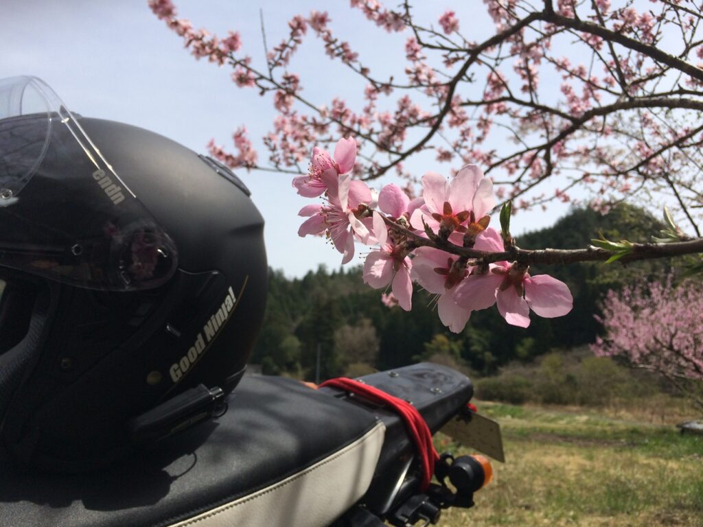 画像を等倍で表示します