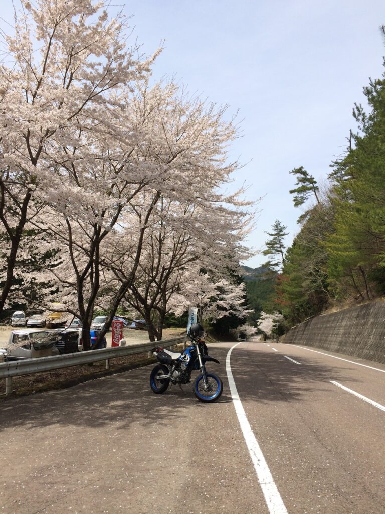 画像を等倍で表示します