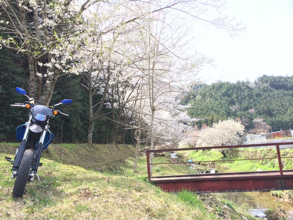 画像を等倍で表示します