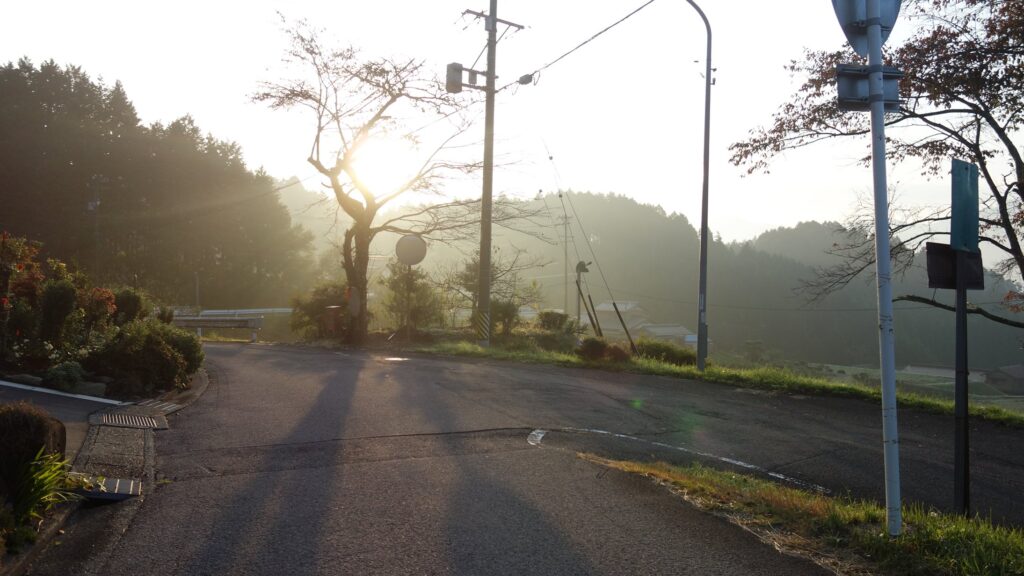 画像を等倍で表示します