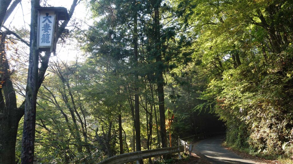 画像を等倍で表示します