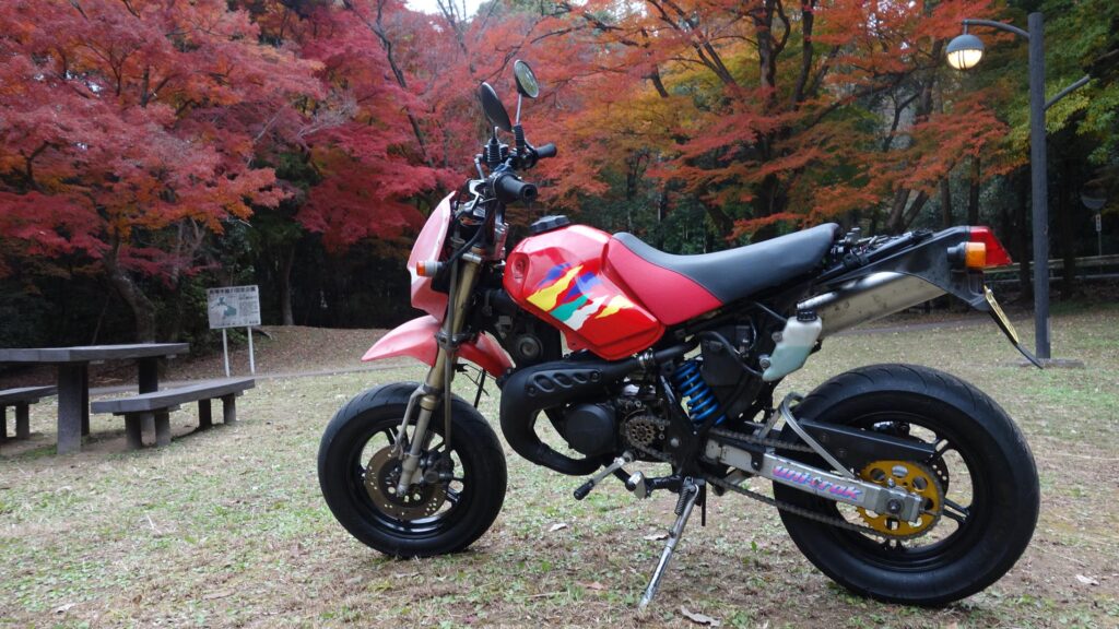画像を等倍で表示します
