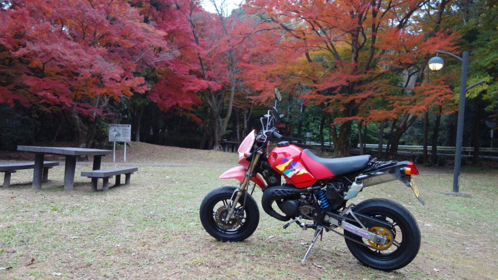 画像を等倍で表示します