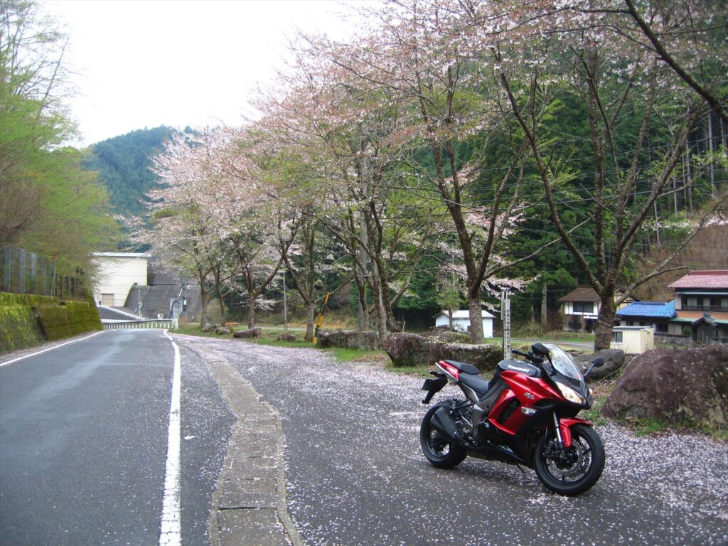 画像を等倍で表示します