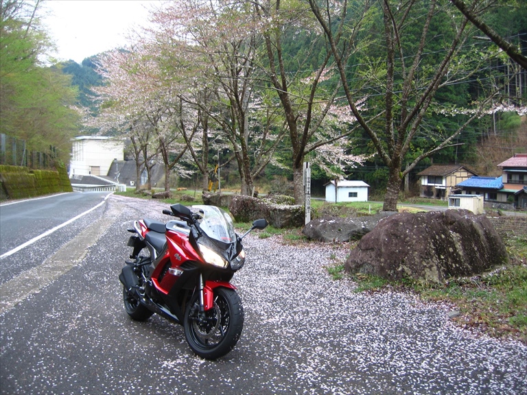 画像を等倍で表示します