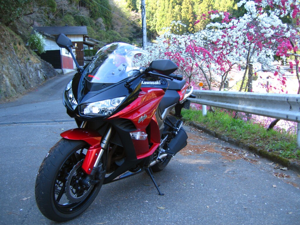 画像を等倍で表示します