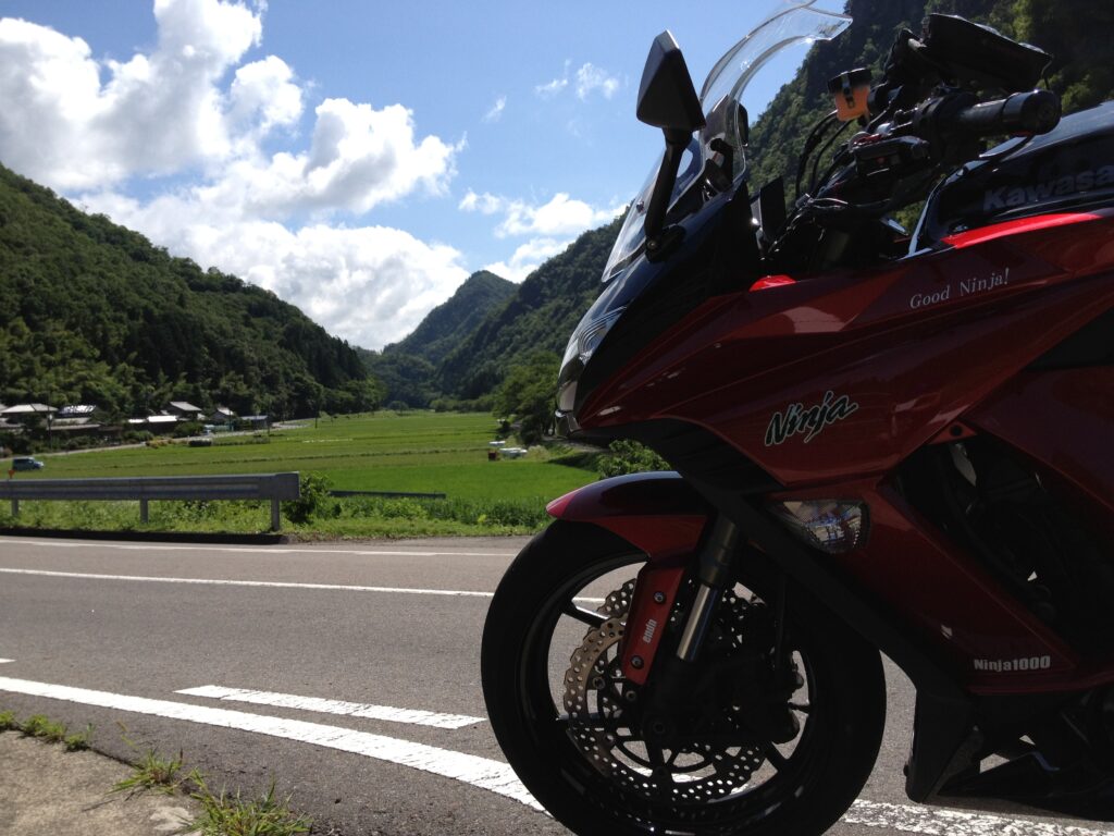 画像を等倍で表示します