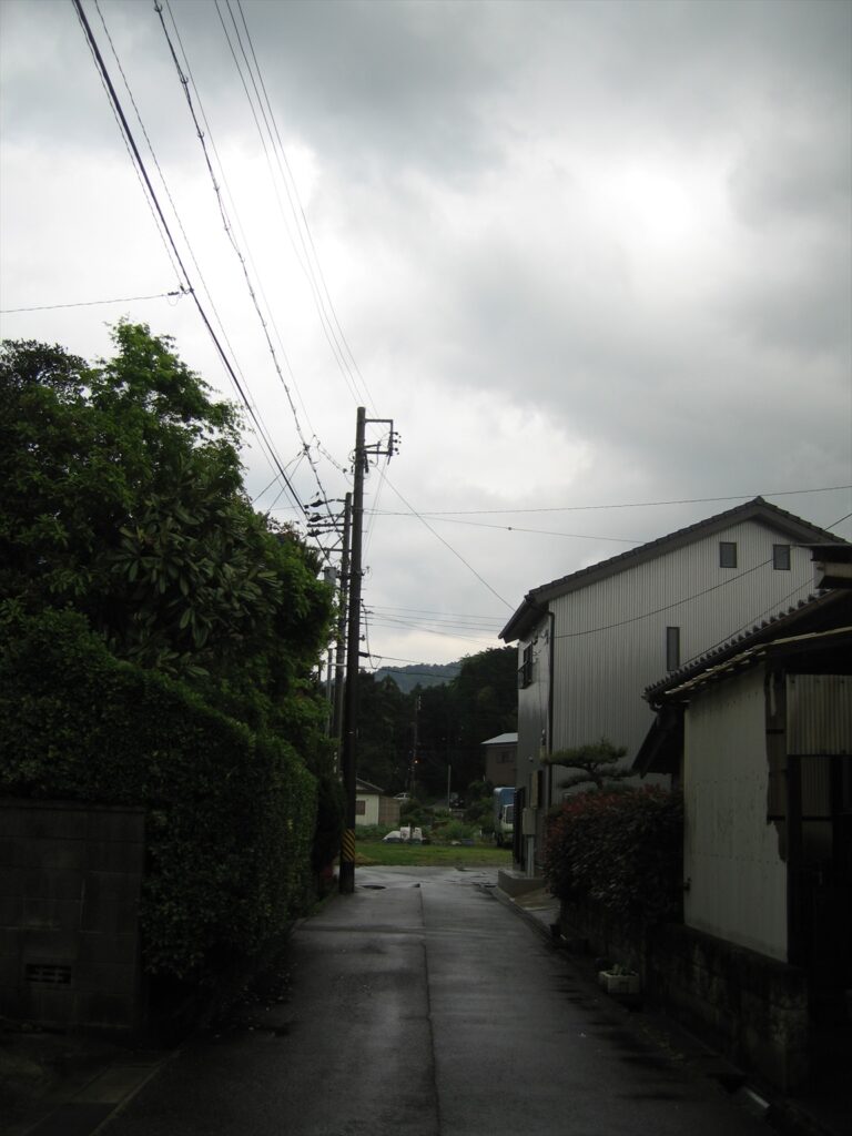 画像を等倍で表示します