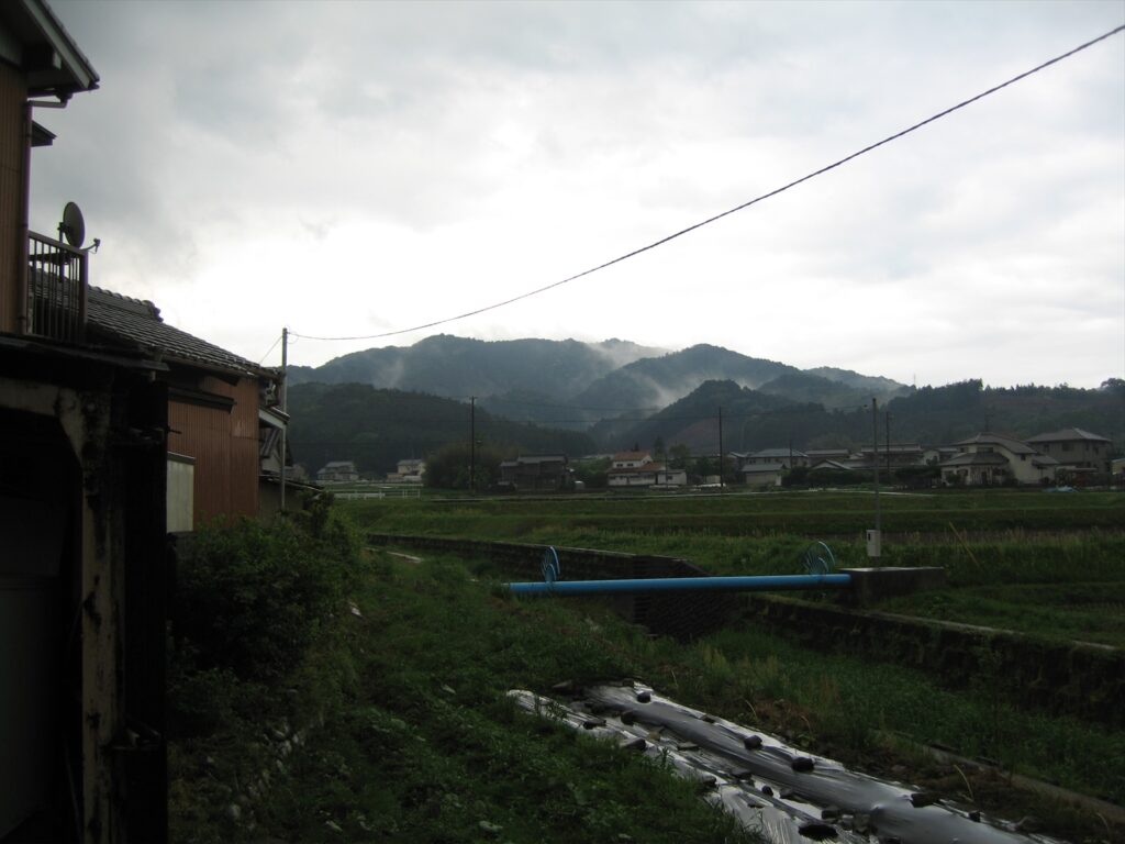 画像を等倍で表示します
