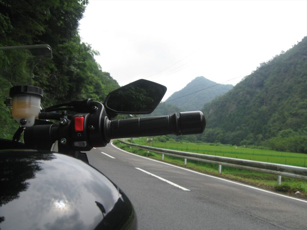 画像を等倍で表示します