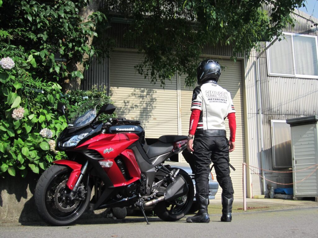 画像を等倍で表示します