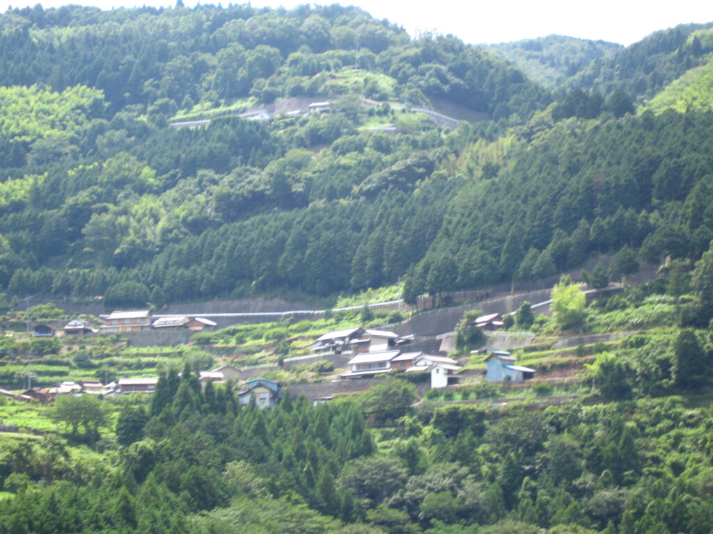 画像を等倍で表示します