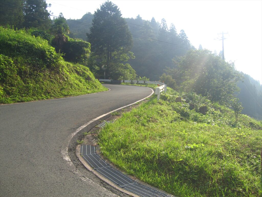 画像を等倍で表示します