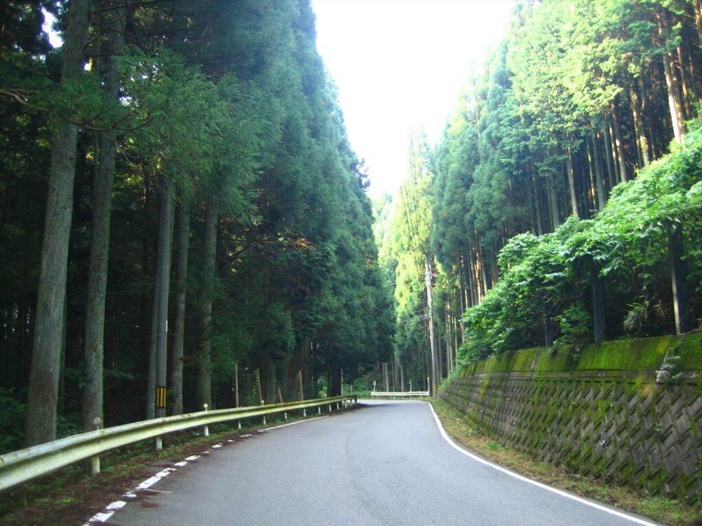 画像を等倍で表示します