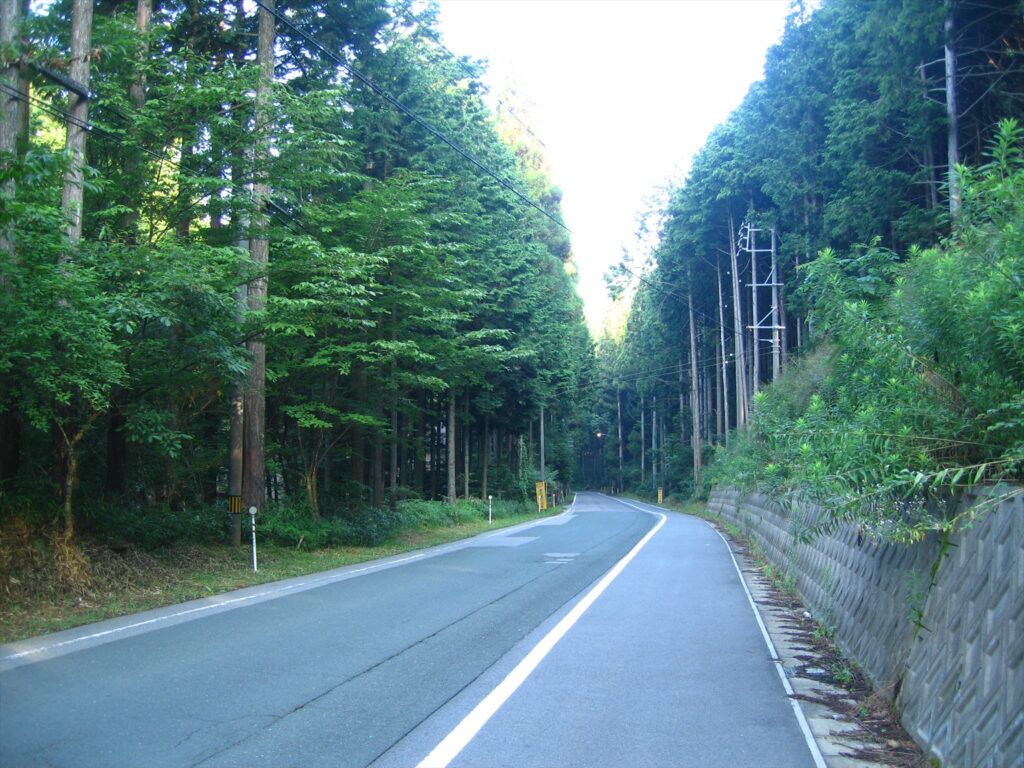 画像を等倍で表示します