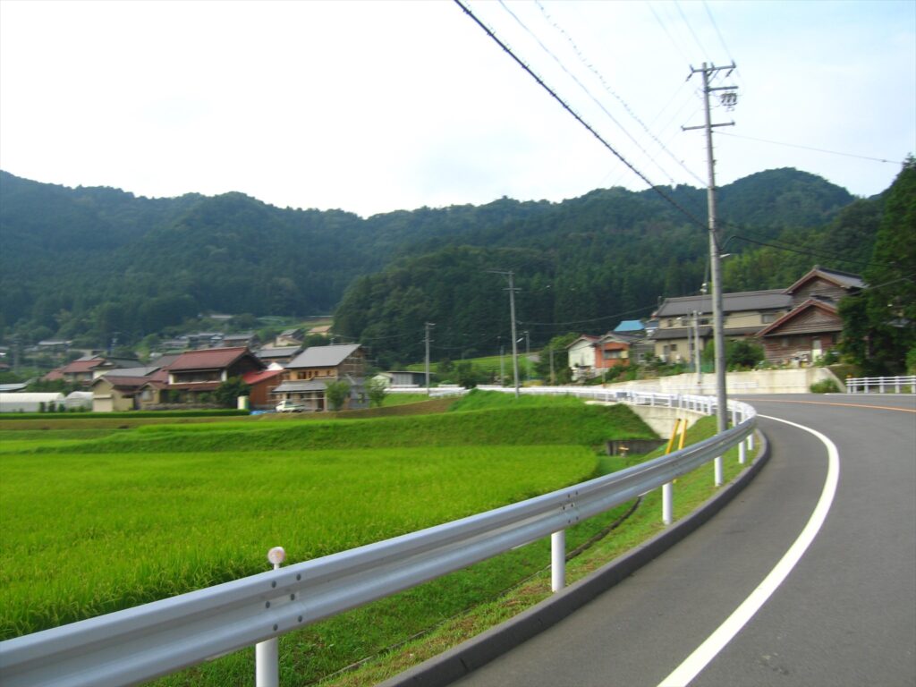 画像を等倍で表示します