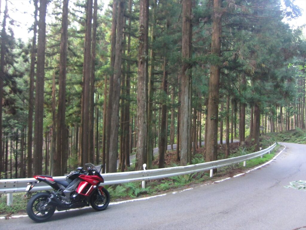 画像を等倍で表示します