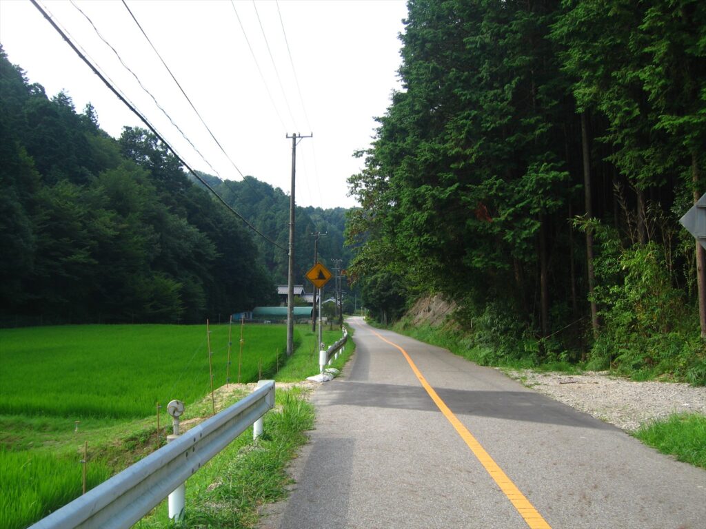 画像を等倍で表示します