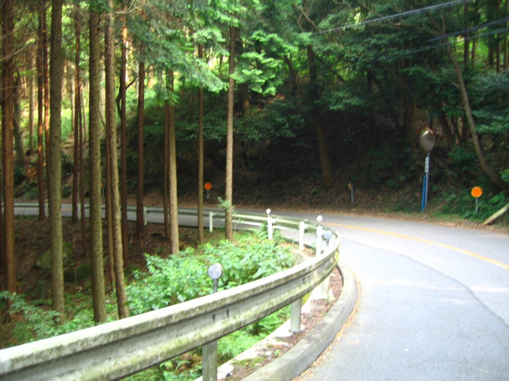 画像を等倍で表示します