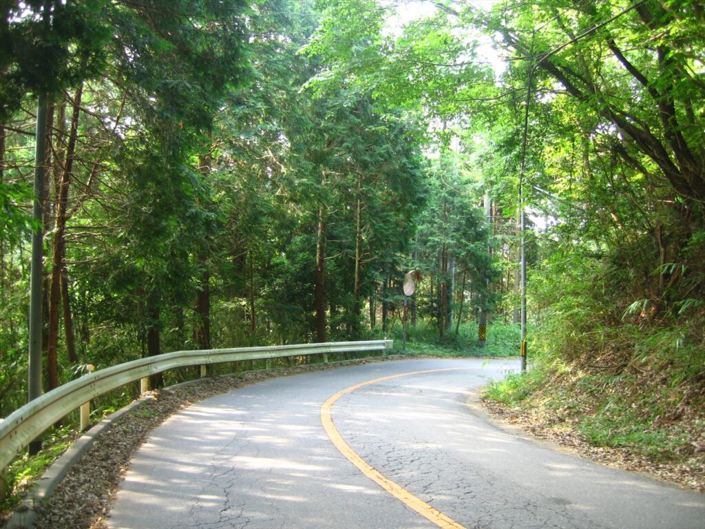 画像を等倍で表示します