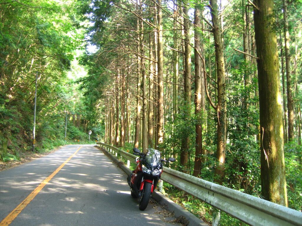 画像を等倍で表示します