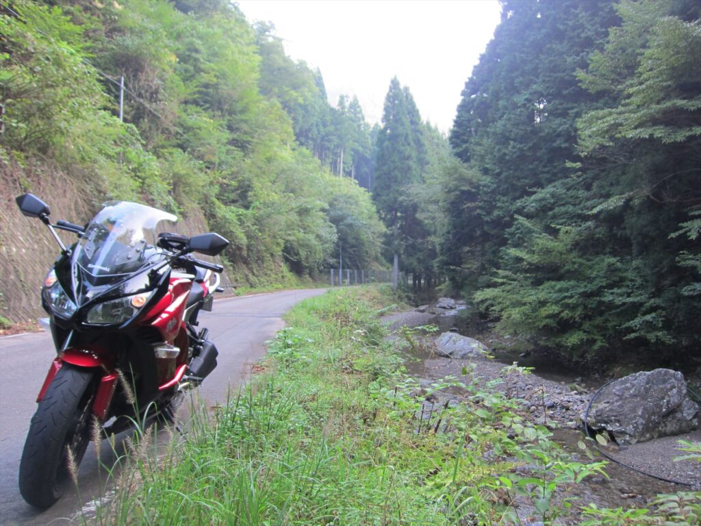 画像を等倍で表示します
