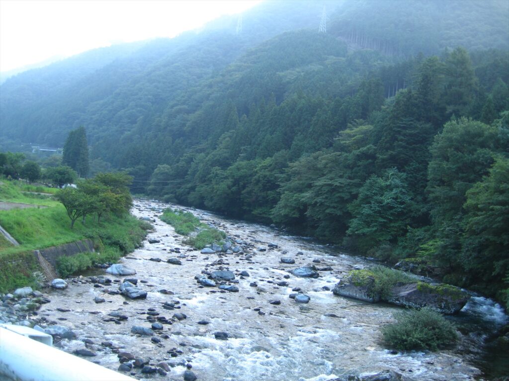 画像を等倍で表示します