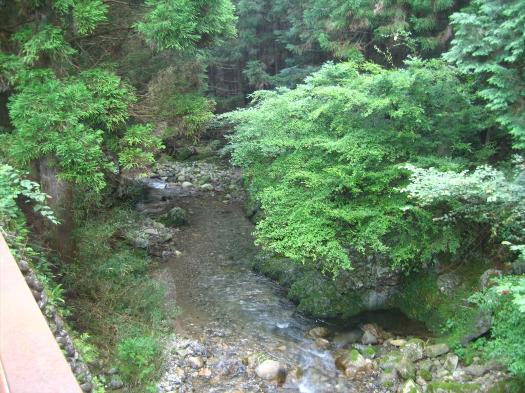 画像を等倍で表示します