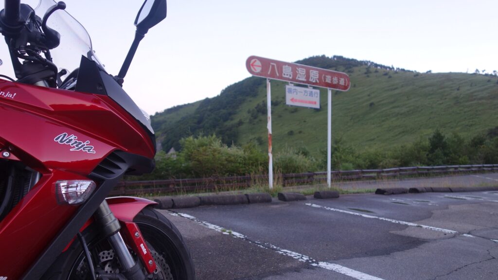 画像を等倍で表示します