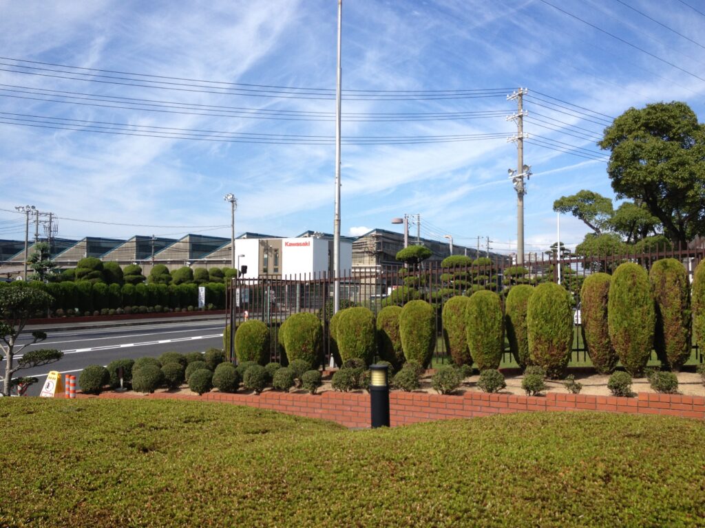 画像を等倍で表示します