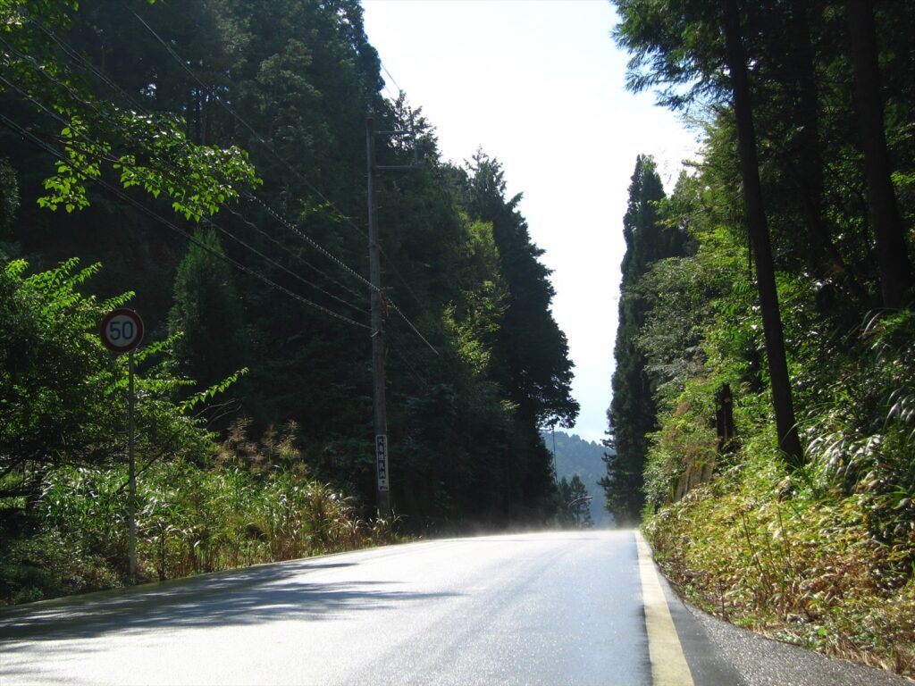 画像を等倍で表示します