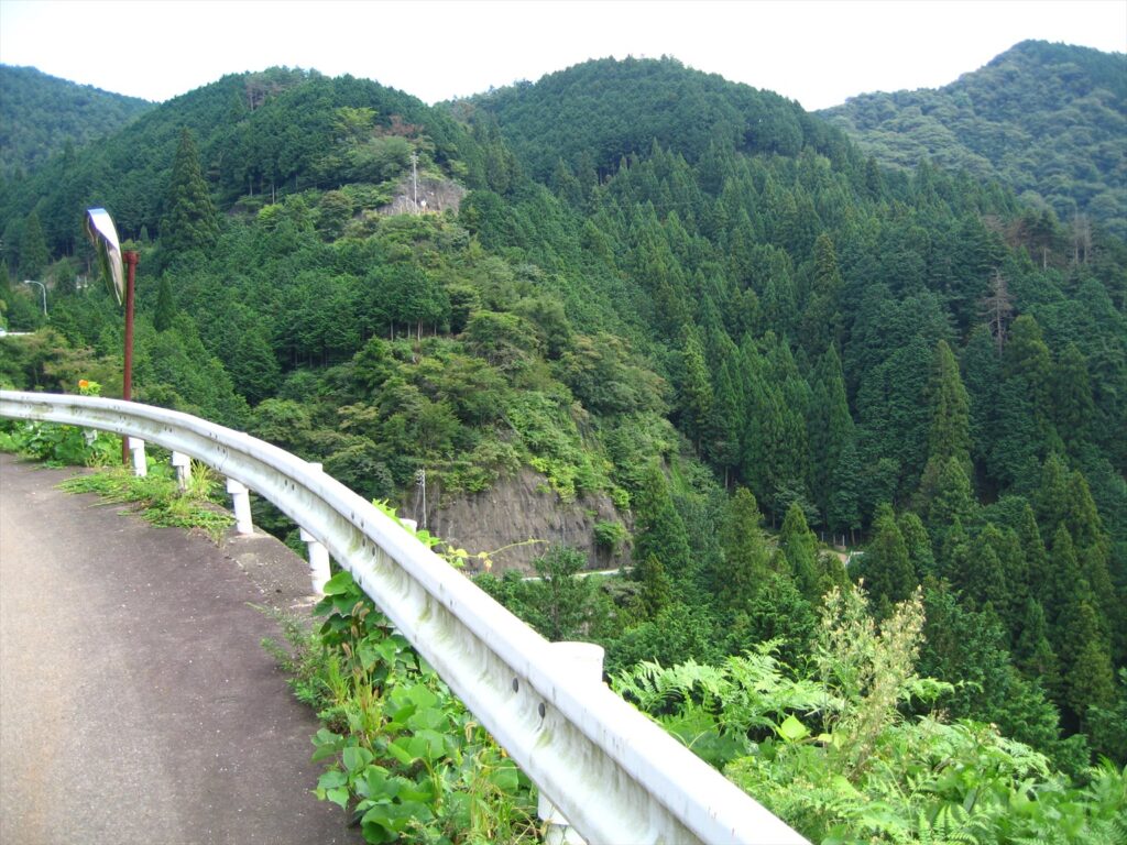 画像を等倍で表示します