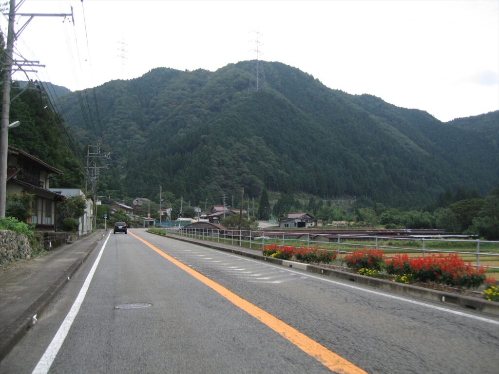 画像を等倍で表示します