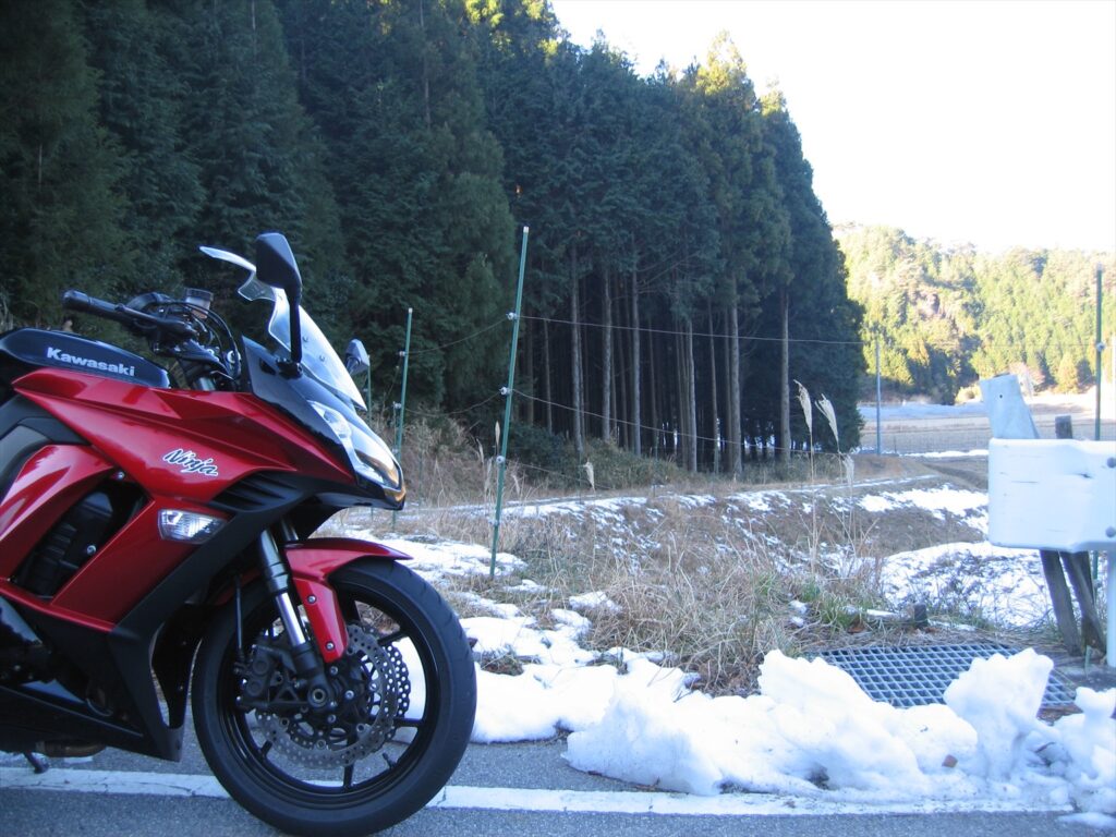 画像を等倍で表示します