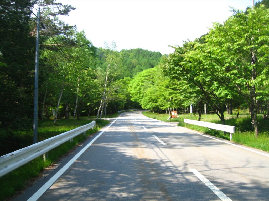 画像を等倍で表示します