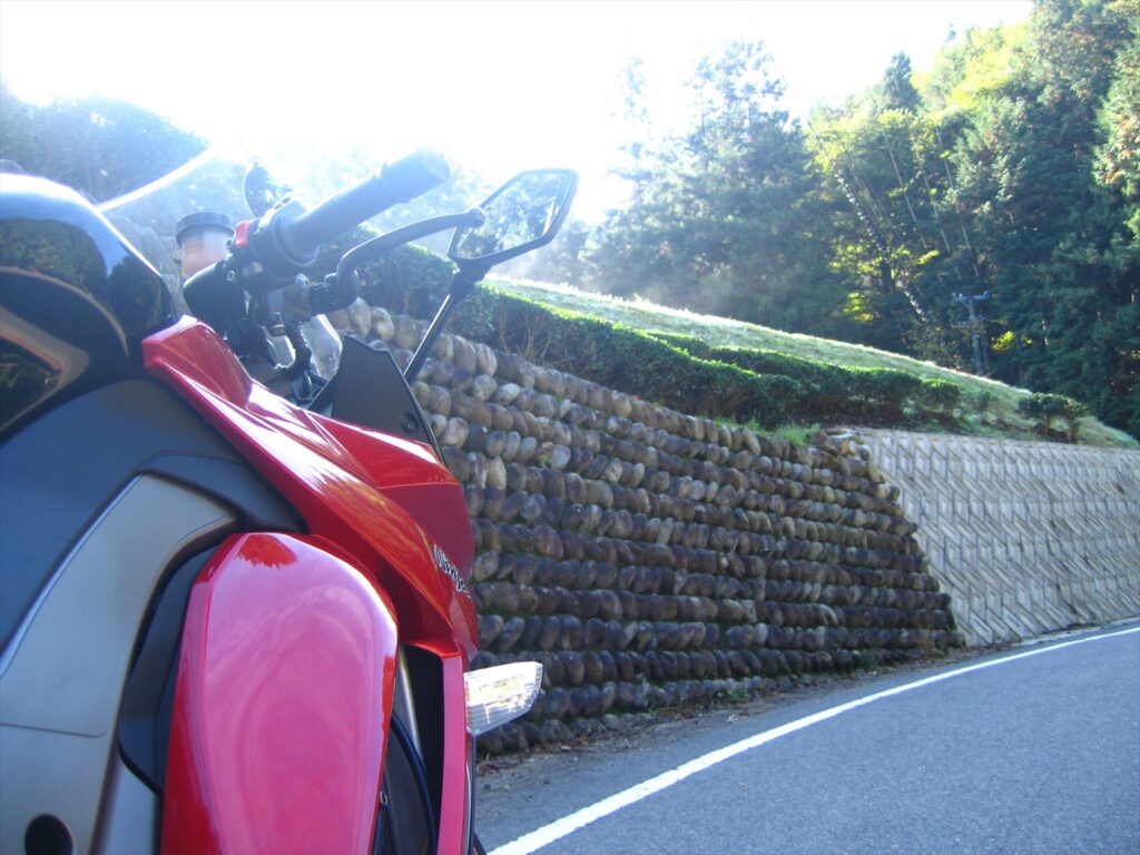 画像を等倍で表示します