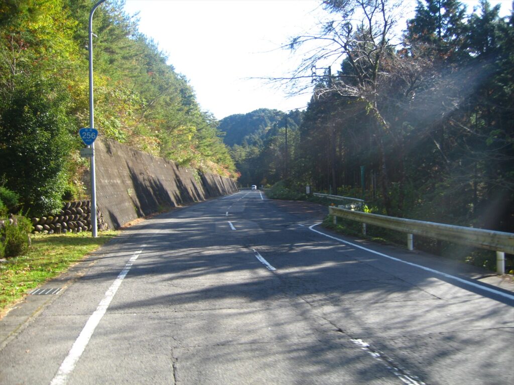 画像を等倍で表示します