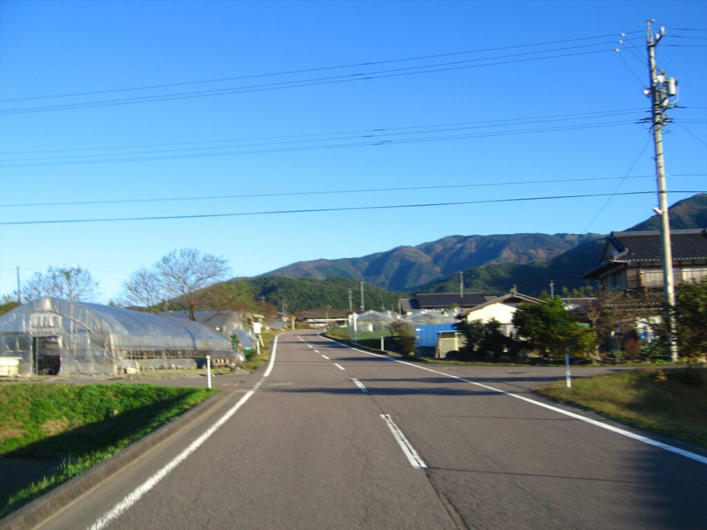 画像を等倍で表示します