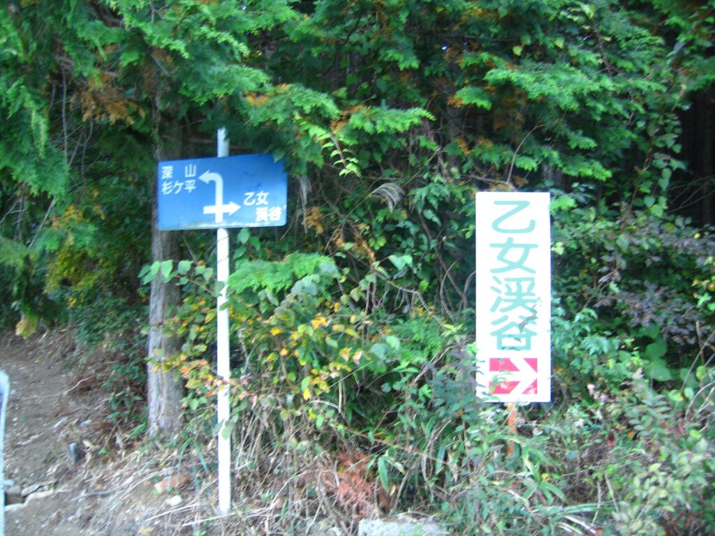 画像を等倍で表示します