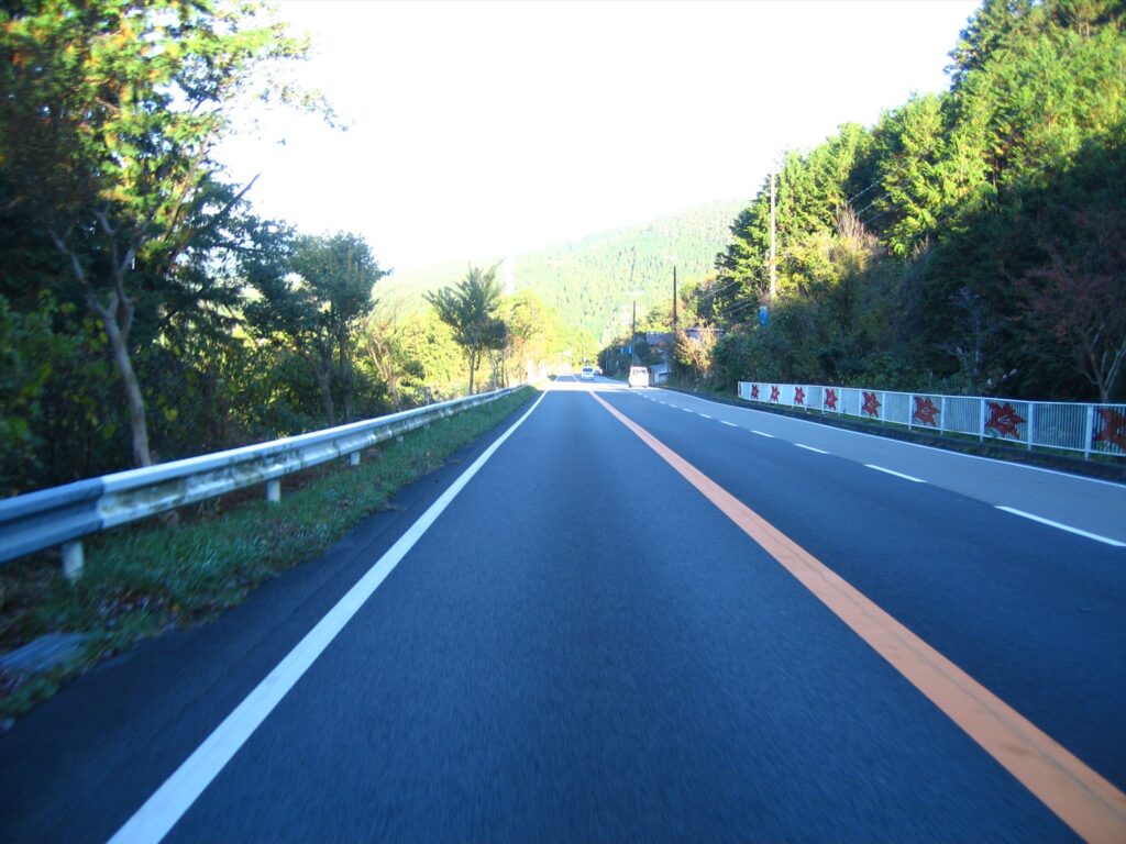 画像を等倍で表示します