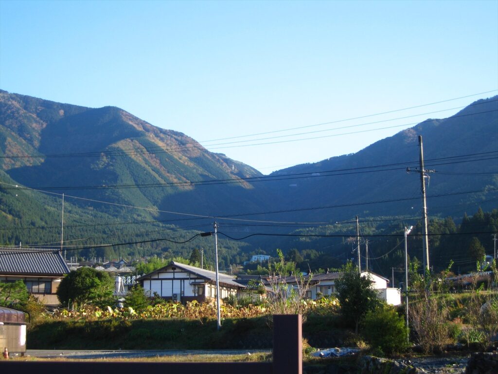 画像を等倍で表示します